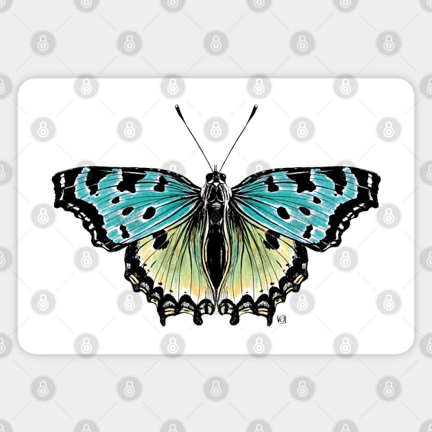 Not so real Butterfly blue Magnet by VeraAlmeida